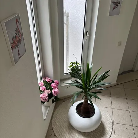 Möbelierte 3-zimmer-wohnung Mit Luxuriöser Innenausstattung In Zentrum