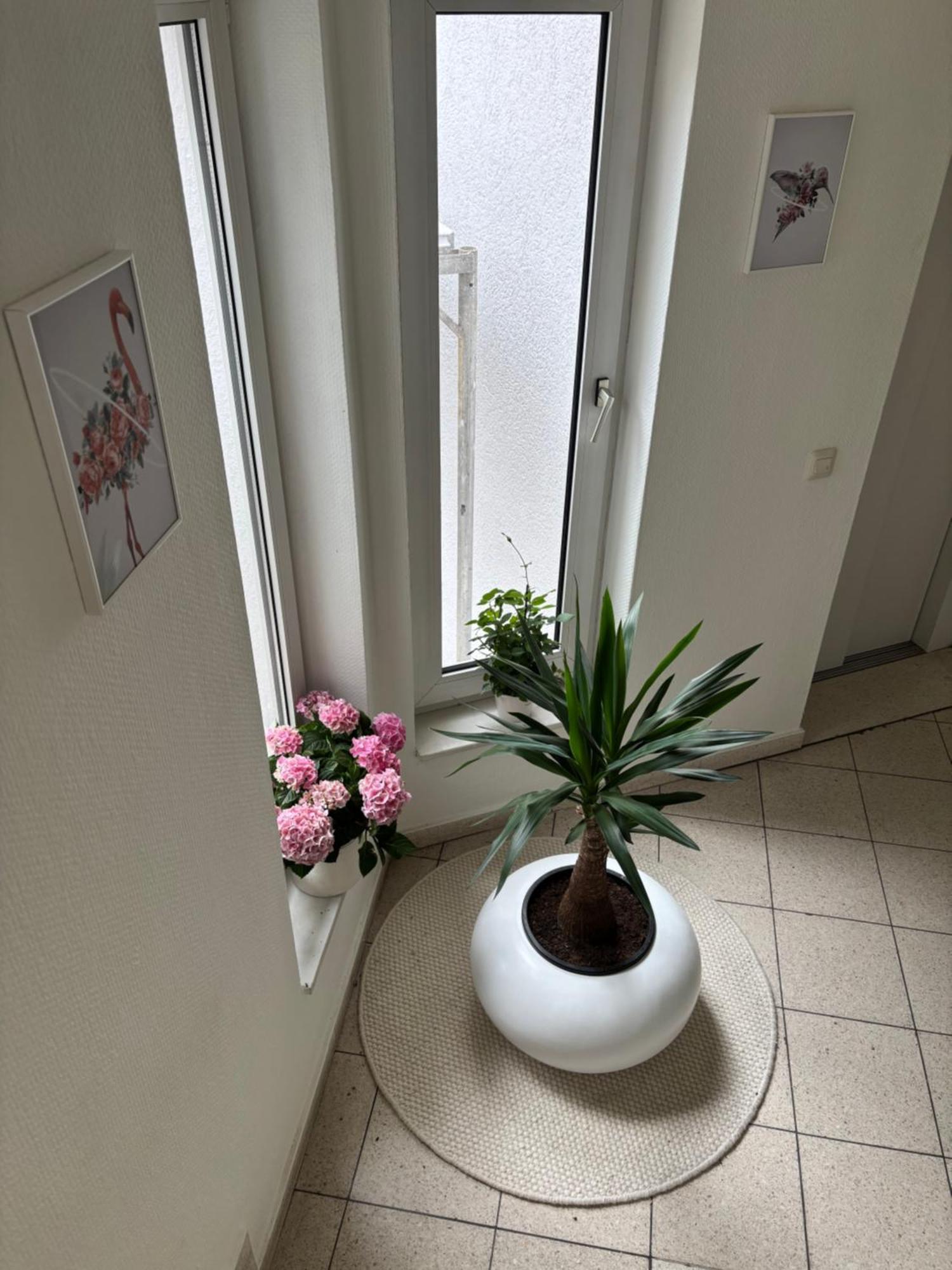 Möbelierte 3-zimmer-wohnung Mit Luxuriöser Innenausstattung In Zentrum